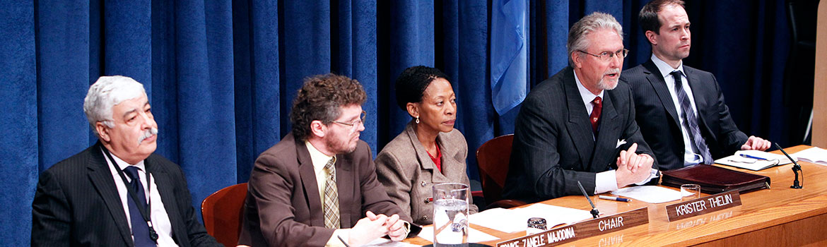 UN Human Rights Committee (c) IRIN