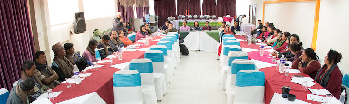Launch of Real Rights Now Website, February 2016